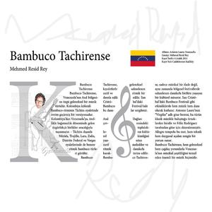 Bambuco Tachirense 04.12.2014