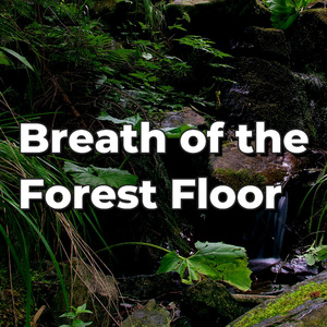 Breath of the Forest Floor