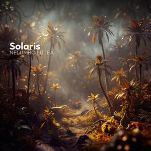Solaris