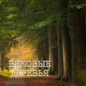 Вековые деревья