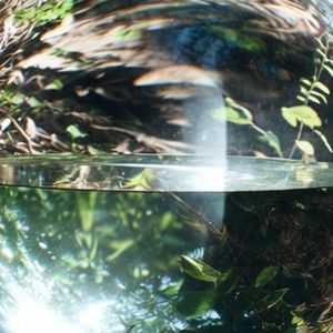 intra sphaeram vitream