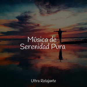 Perseverancia