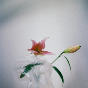 꿈이라면 좋을까