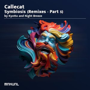 Infinite Enclosure (Kyotto Remix)