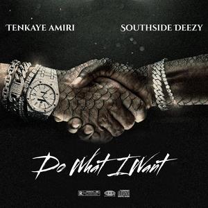 Do What I Want (feat. Southside Deezy)