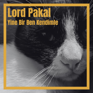 Git Tamam Git (ama geri dön)