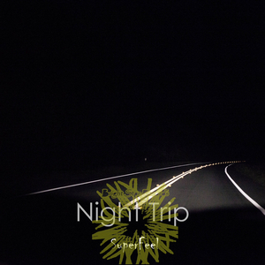 Night Trip (Original Mix)