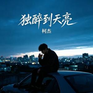 独醉到天亮 (无人的岛续集)(柯杰 Remix)