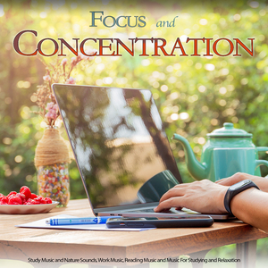 Focus and Concentration