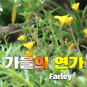 내 마음의 상처