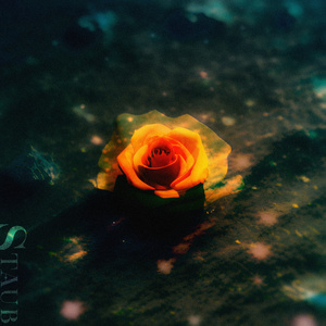 Staub (Instrumental)