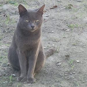 Me bloqueia mas me ama