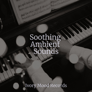 Sundown's Lullaby Dreams