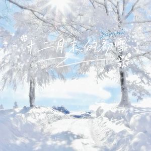 十二月末的初雪