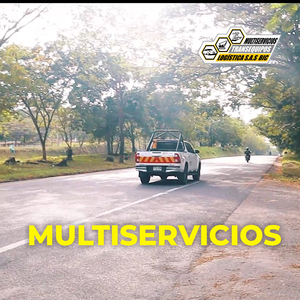 MULTISERVICIOS