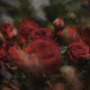 章鱼哥的夏天 (Tako's Summer)