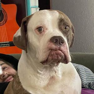 Fat Lip (feat. Sad Giants)