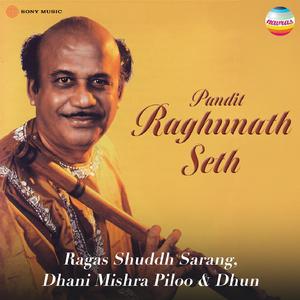 Raga Dhani (Gat in Teen Taal, 2)