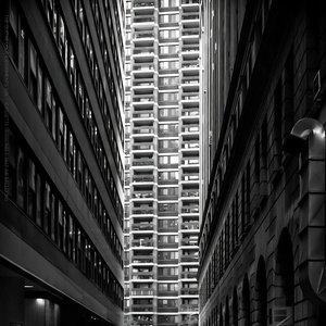 Experiment IV (Reverse Version)