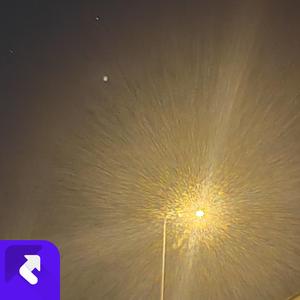 也许（现场版）