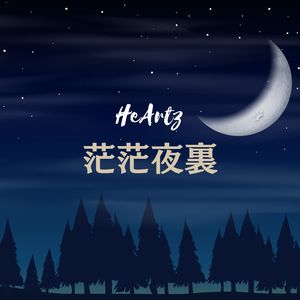 茫茫夜里