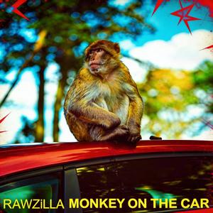 MONKEY ON THE CAR