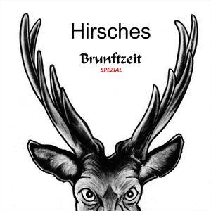 Brunftzeit