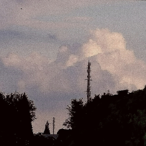 盛夏