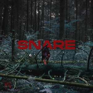 Snare