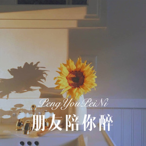 黄昏的恋歌 (Remix)