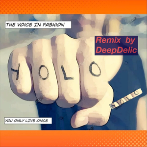 Y.O.L.O (You Only Live Once DeepDelic Radio Mix)