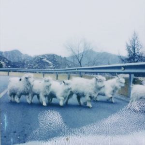 分分钟需要你 （cover.林忆莲）