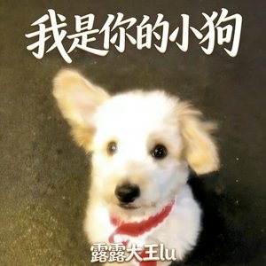 我是你的小狗（翻自 西彬）