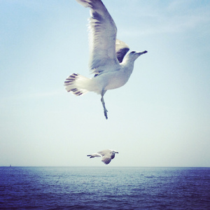 It's a beautiful day