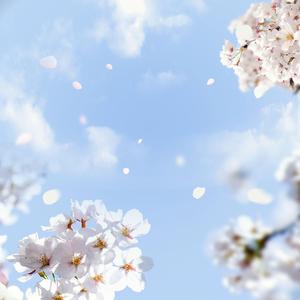 One More Try, One More Spring
