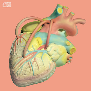 내 이름을 불러주세요