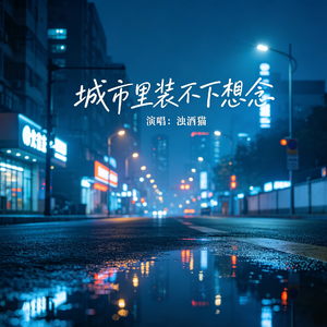 城市里装不下想念