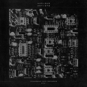 Disonancia Cognitiva (nkx edit)