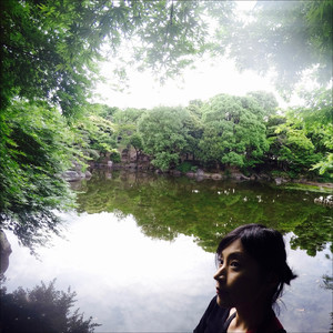 雨の朝、川の流れを見ていた