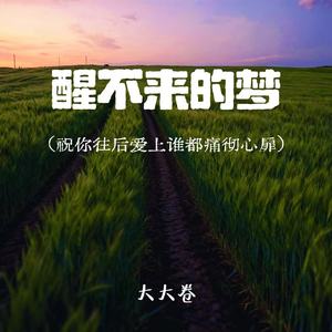 醒不来的梦 (祝你往后爱上谁都痛彻心扉)
