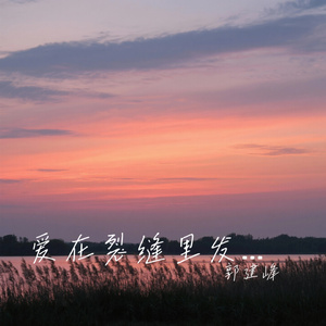 爱在裂缝里发芽