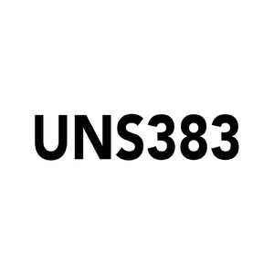 UNS383