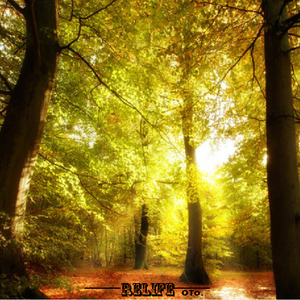 【废待删】Relife