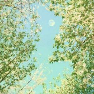 城北的花 (Cover 王宇宙Leto & 乔浚丞)