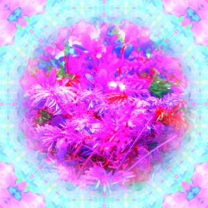 Light Pollution (Instrumental)