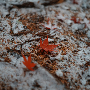 すこしだけ (feat. 裏命)