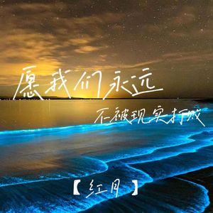 愿我们永远不被现实打败