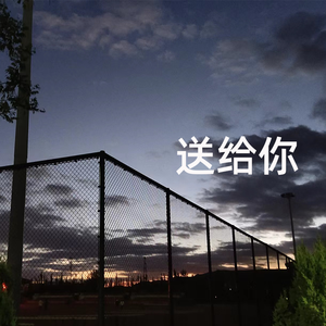 送给你