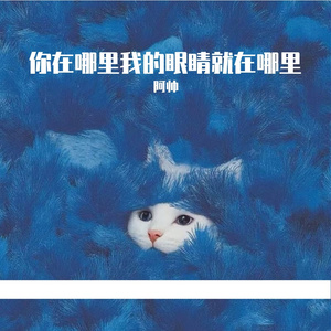你在哪里我的眼睛就在哪里