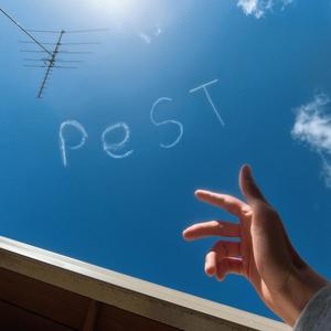 Pest